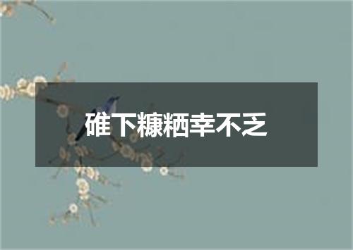碓下糠粞幸不乏