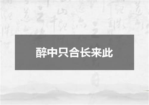 醉中只合长来此