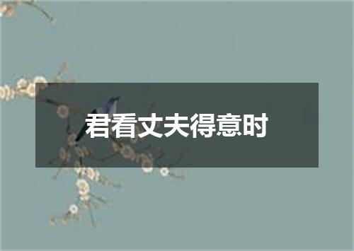 君看丈夫得意时