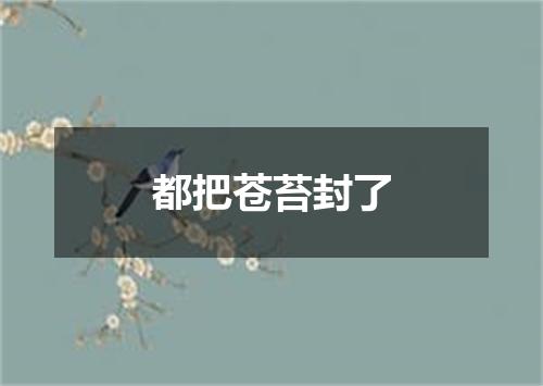 都把苍苔封了