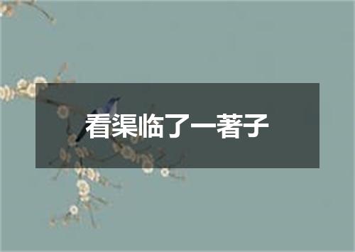 看渠临了一著子