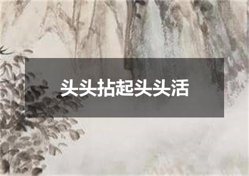 头头拈起头头活