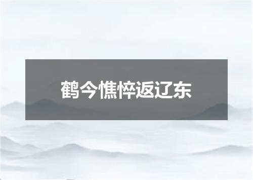 鹤今憔悴返辽东