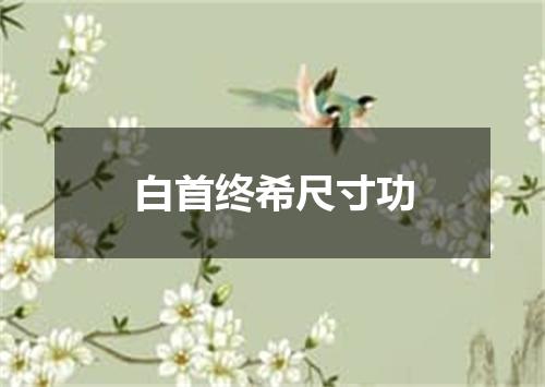 白首终希尺寸功