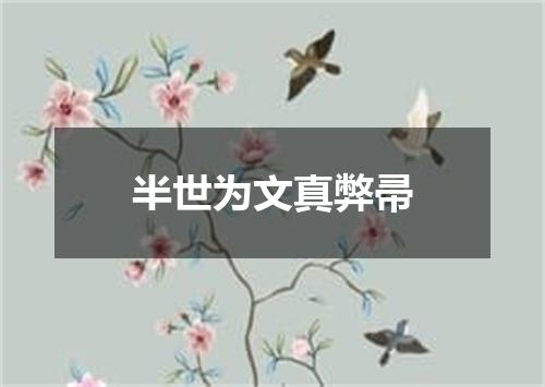 半世为文真弊帚