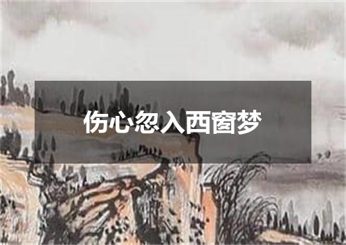 伤心忽入西窗梦