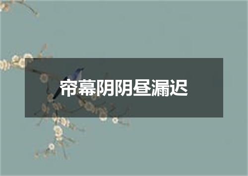 帘幕阴阴昼漏迟