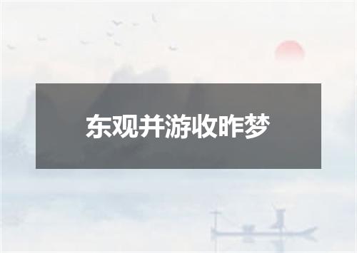 东观并游收昨梦