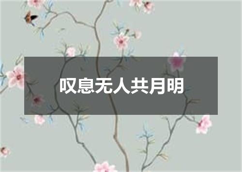叹息无人共月明
