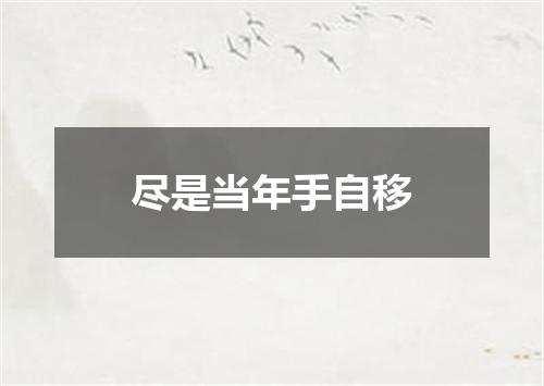 尽是当年手自移