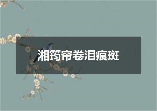 湘筠帘卷泪痕斑