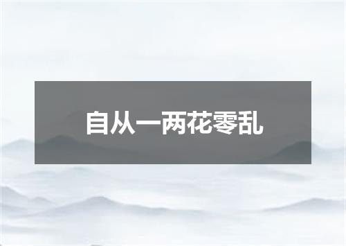 自从一两花零乱