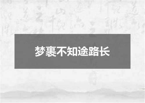 梦裹不知途路长