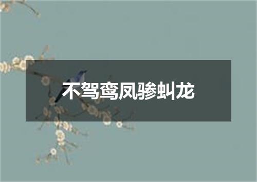 不驾鸾凤骖虯龙
