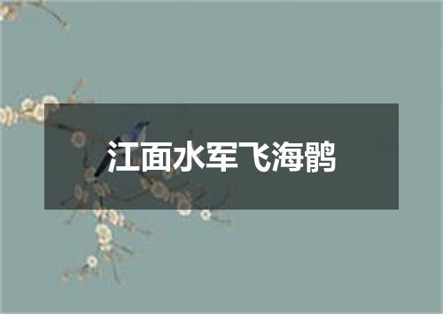 江面水军飞海鹘