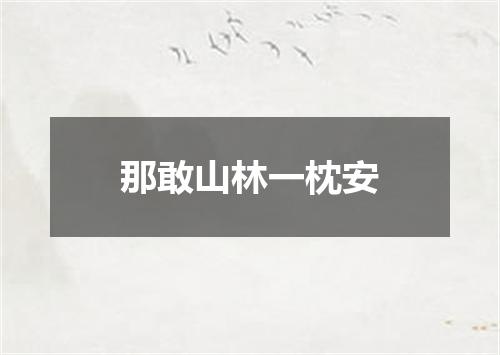 那敢山林一枕安