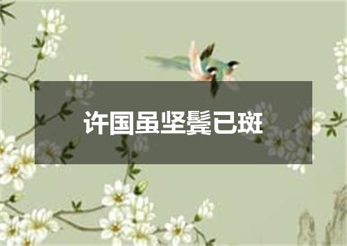 许国虽坚鬓已斑