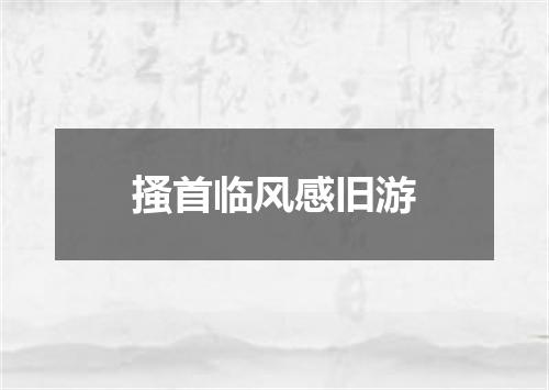 搔首临风感旧游