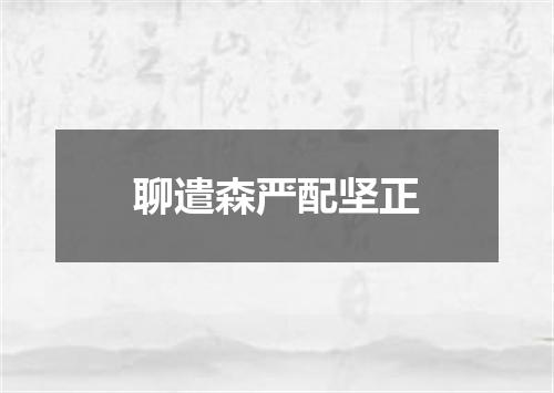 聊遣森严配坚正