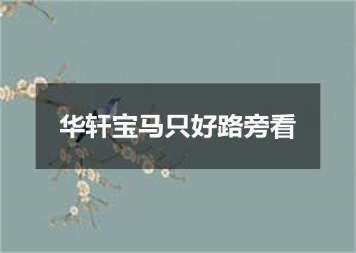 华轩宝马只好路旁看