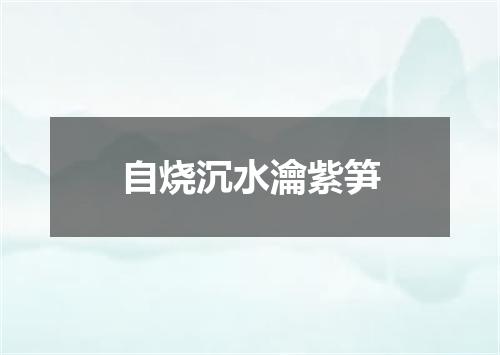 自烧沉水瀹紫笋