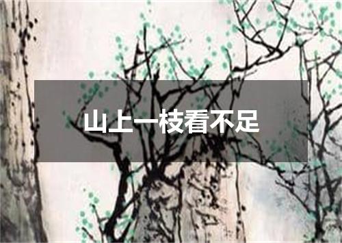 山上一枝看不足