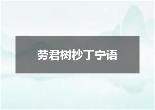 劳君树杪丁宁语