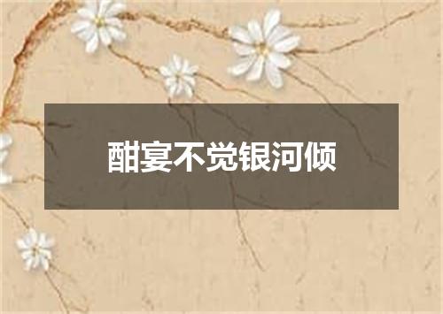 酣宴不觉银河倾