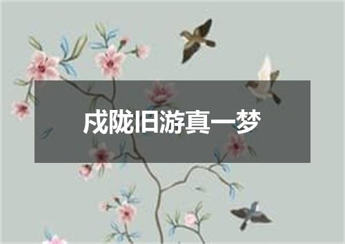 戍陇旧游真一梦