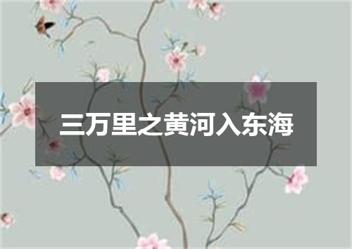 三万里之黄河入东海