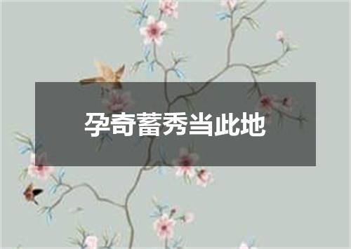 孕奇蓄秀当此地