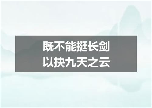 既不能挺长剑以抉九天之云