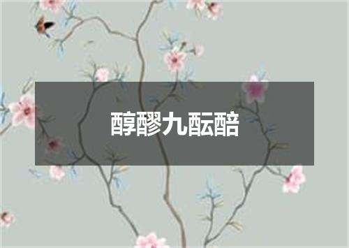 醇醪九酝醅