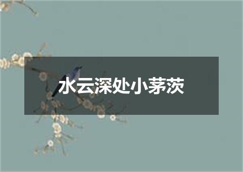 水云深处小茅茨