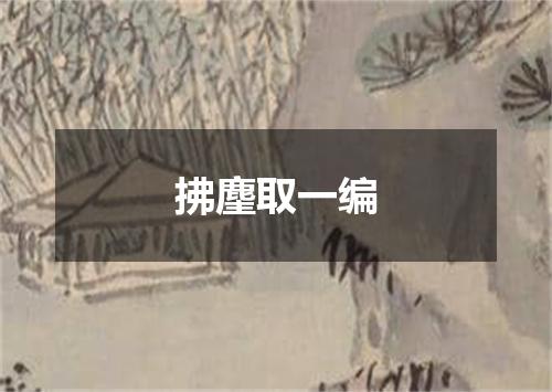 拂麈取一编