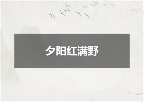 夕阳红满野