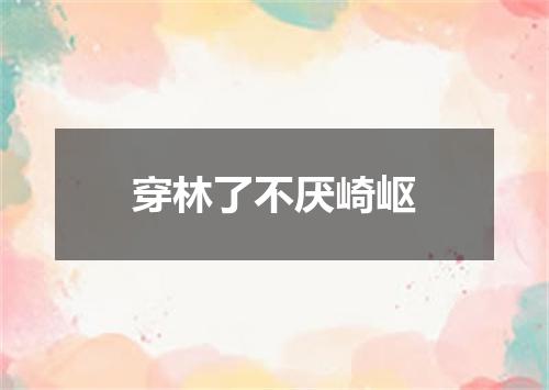 穿林了不厌崎岖