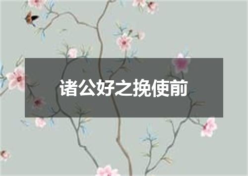 诸公好之挽使前