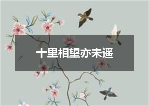 十里相望亦未遥
