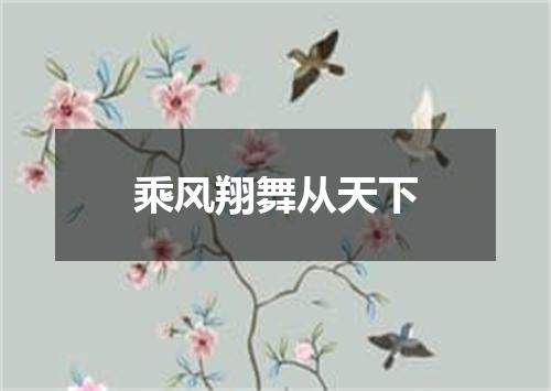 乘风翔舞从天下