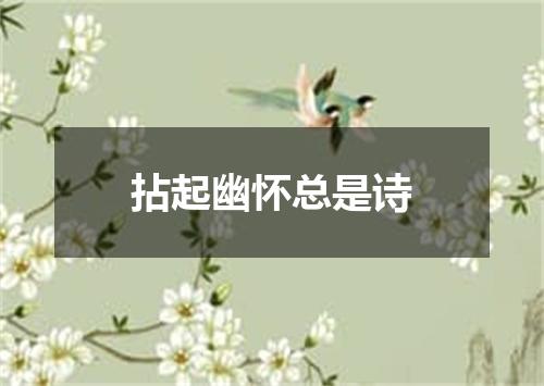 拈起幽怀总是诗