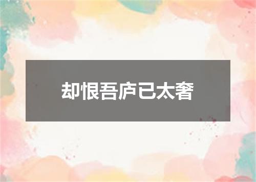 却恨吾庐已太奢