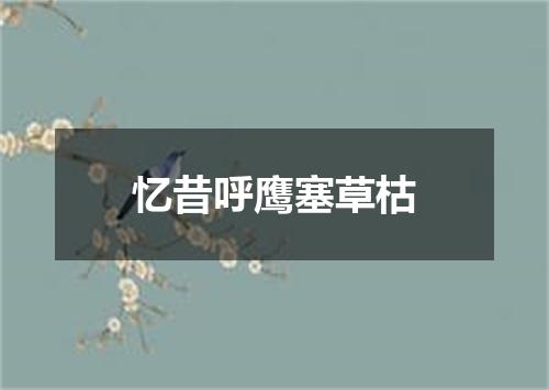 忆昔呼鹰塞草枯