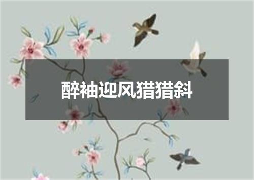 醉袖迎风猎猎斜