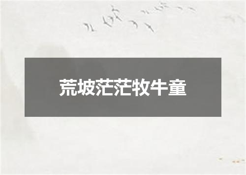 荒坡茫茫牧牛童