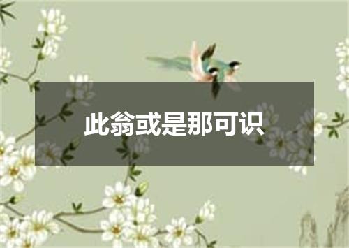 此翁或是那可识
