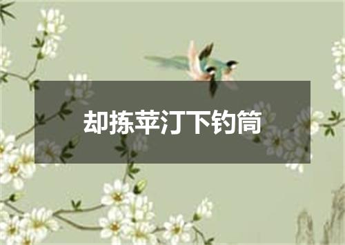 却拣苹汀下钓筒