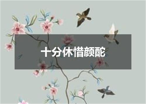 十分休惜颜酡