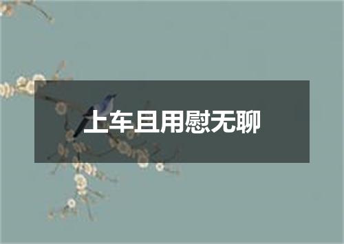 上车且用慰无聊