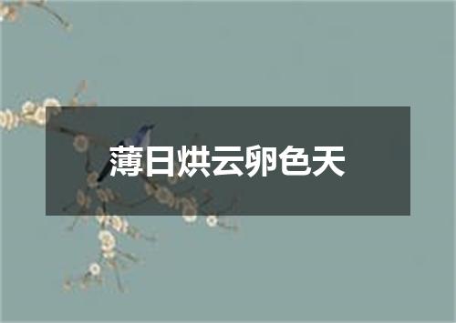 薄日烘云卵色天